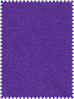 Dyno Duck Purple
